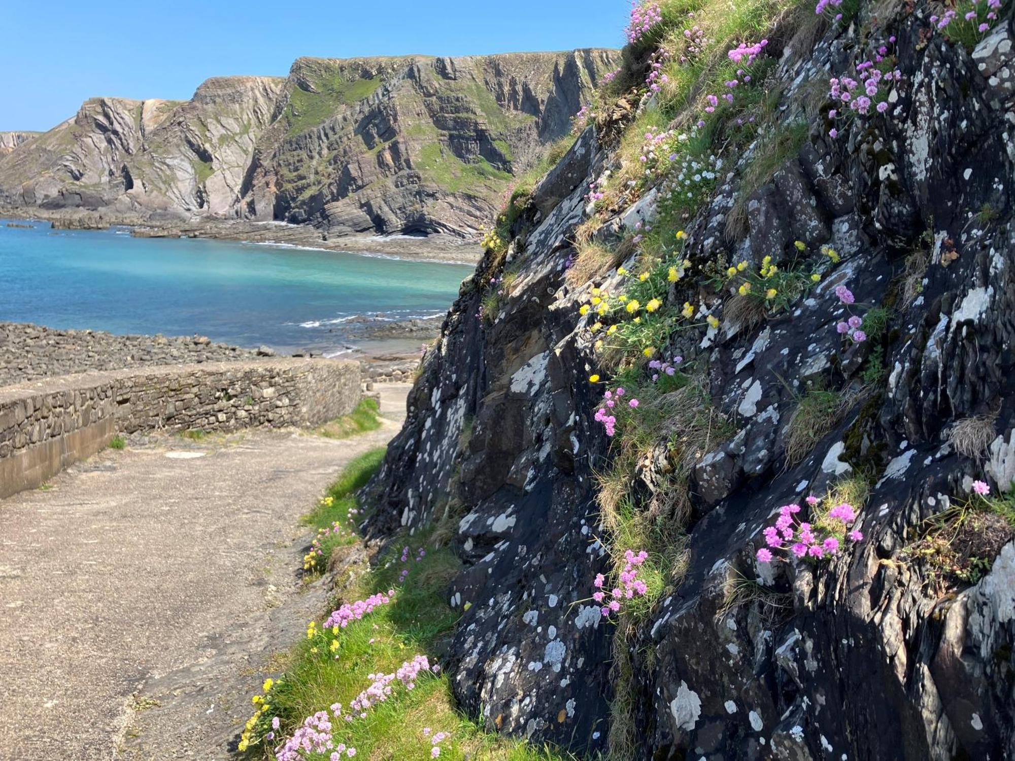 Hartland Quay Hotel المظهر الخارجي الصورة