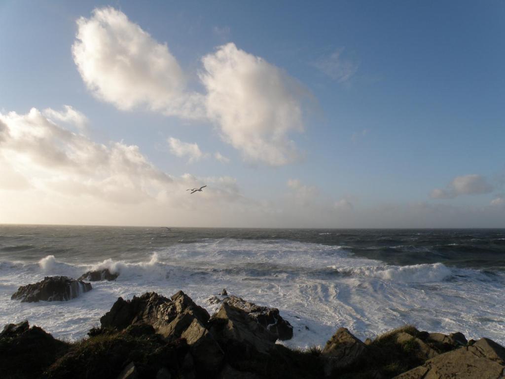 Hartland Quay Hotel الغرفة الصورة