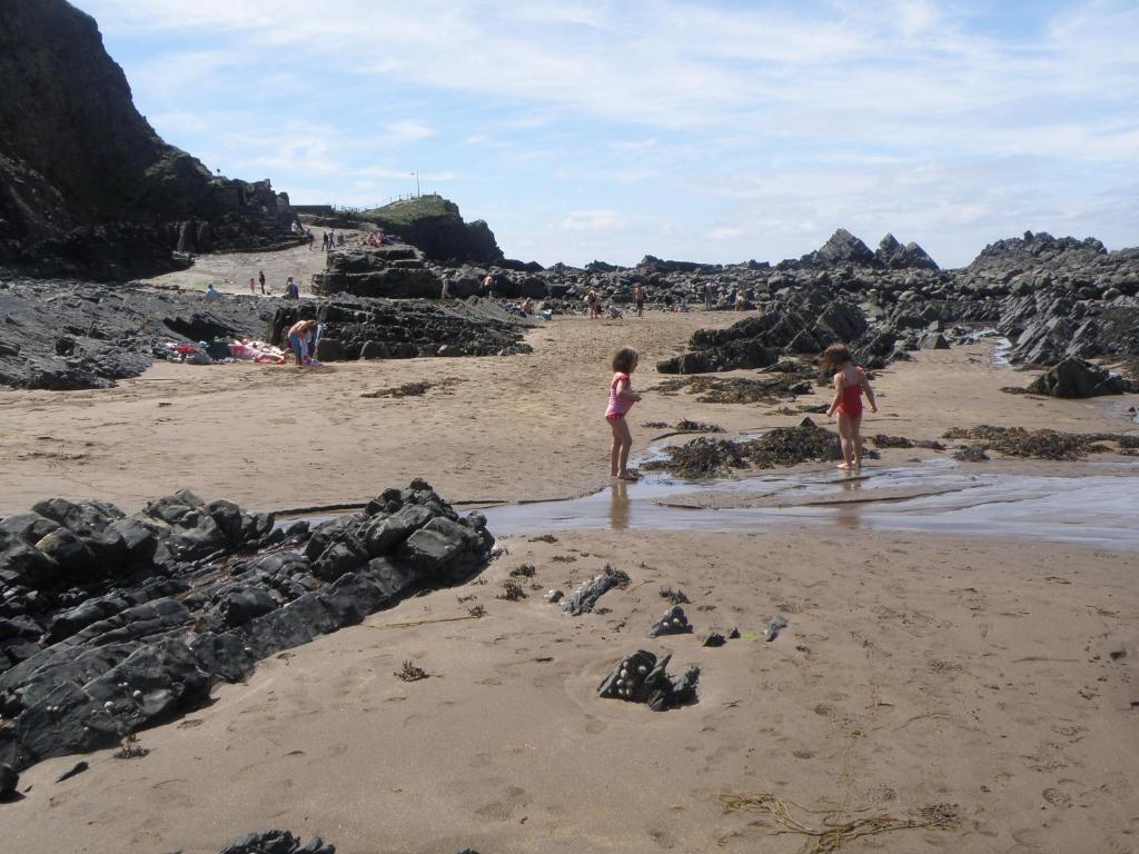 Hartland Quay Hotel المظهر الخارجي الصورة