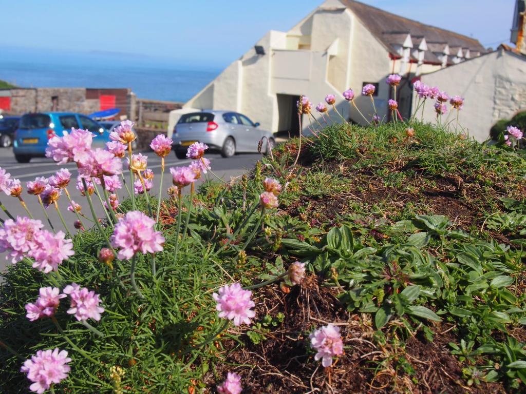Hartland Quay Hotel الغرفة الصورة